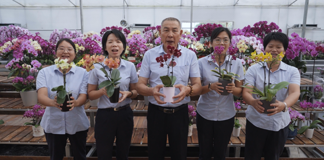 如图片无法显示，请刷新页面