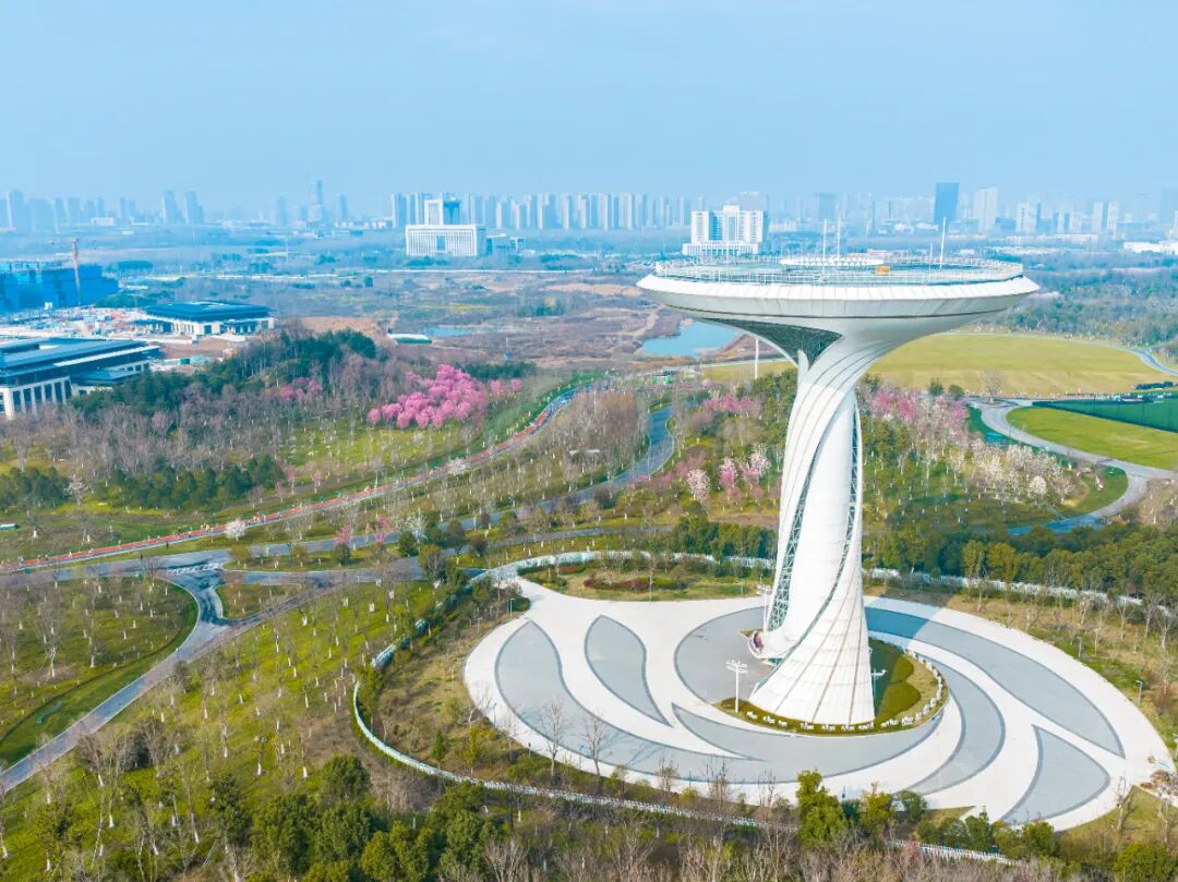 以奔跑致敬生态，2026新希望白帝合肥半程马拉